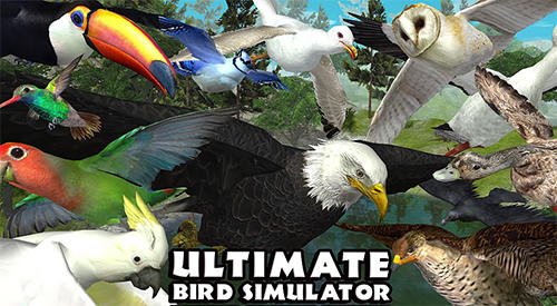download Ultimate bird simulator apk